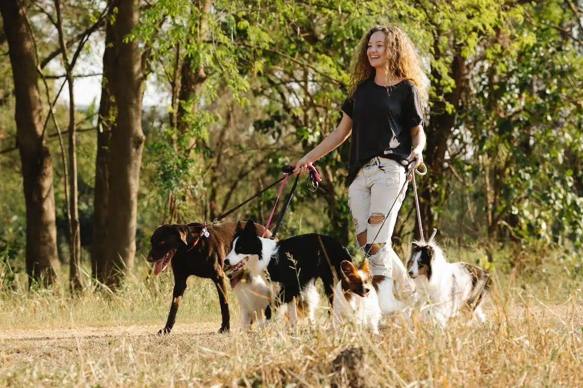 Les amours de Zazie : découvrez qui est son nouveau compagnon